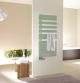 ������ ��������� � �����������������. ZEHNDER ����������������� Roda Spa Asym ������� � �������������