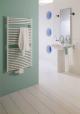 ������ ��������� � �����������������. ZEHNDER ����������������� Troja �������